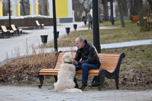 13 ноября 2025