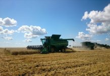 Урожай зерна в Рязанской области в этом году превысил 3 миллиона тонн