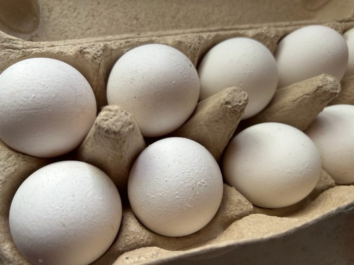 Sz2yYoja8Ur4hPHDOTig9B4pUlW24zakx1aGNzoH3j_d6VvL4ZxuVQCev_KEUh2CA72TyDV9vgnc_q0vsROP8-lz