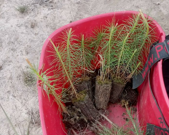 UE4nOStjQHtjUBba-W_cAiAtPRfmV3FbP8mNoKLHdWQDc-ZIXSB_hxAZ09uJk5_6kVe12IR5D-4CfVCFaD46EBAt