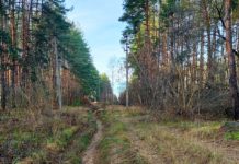 В Рязанской области энергетики заменили опору ЛЭП, упавшую от сильного ветра