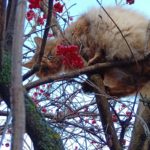 Завтра в Рязанской области ожидаются небольшие осадки и южный ветер