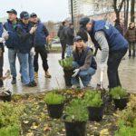 В Рязани завершился месячник по озеленению городских территорий