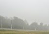 В Рязанской области в течение суток ожидается туман