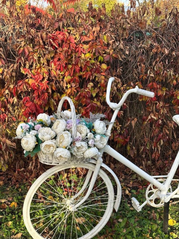 mCo1LFZldENDPRgSnVKakEYSXkHl593RISysVL1xdynjx_H-PKqk70tifjbSskmV41G7bCMssLOCApank4p3Nj8P