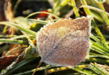 Рязанцев предупредили о резком похолодании