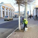 В Рязани начали белить деревья к зиме