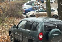 С начала года рязанцы получили свыше 11,4 тысяч штрафов за парковку в неположенном месте