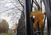 Завтра в Рязанской области воздух прогреется до +10°С