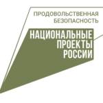 Рязанские селекционеры вывели новый зимостойкий сорт пшеницы