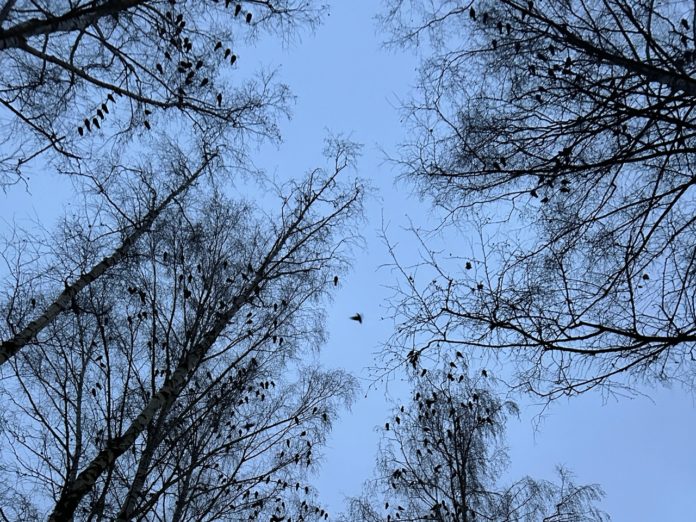 1hTWF2Gq6IUuCK-Ua1B4ze-s0b7JzSdg9J1qTIWo4W4z_O0znZ3wyZbh7hr1JPF5T3yqx5vNNGoMo-dyAe7lwhMO