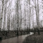 1 декабря 2025