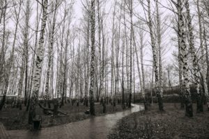 1 декабря 2025