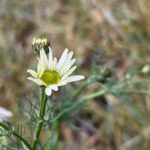 В Рязанской области завтра ожидаются небольшие осадки