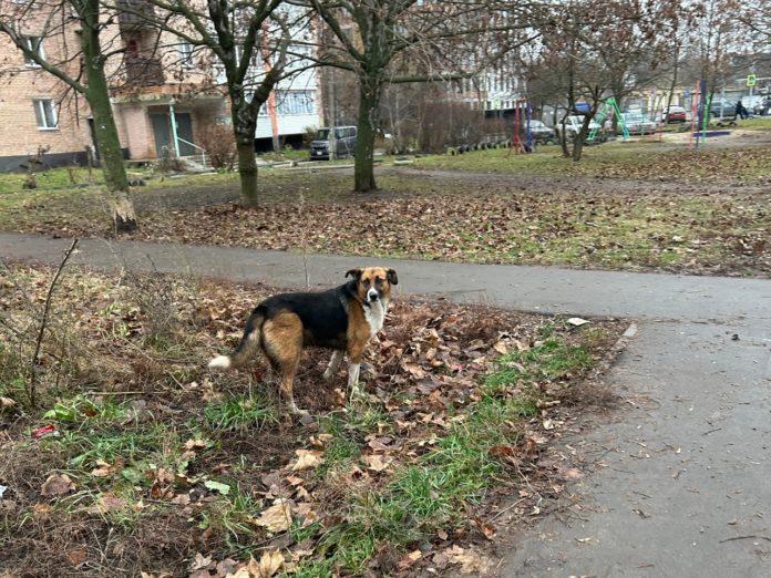 BI2akvnyPrtT6IhEY3yYDQnN_oLCg5mh1c-EiU75EqrfYevZ0f2Rc9-x7xoLqqf-aegzaBO7AZfZL4eJ5mSEK7gk