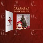 В субботу на новогоднем празднике в Рязани будут работать около 250 волонтеров