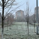 Завтра в Рязанской области местами пройдут небольшие осадки