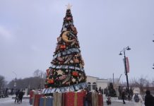 На Рязанской ВДНХ началось «Время чудес»