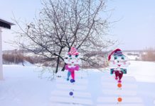 Рязанцы могут принять участие в конкурсе на лучшее новогоднее оформление территории проживания