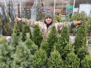 17 декабря 2025