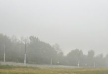 Водителей предупредили о тумане
