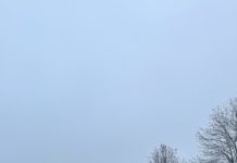 Местами туман и гололедица ожидаются завтра в Рязанской области