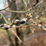 2 декабря 2025