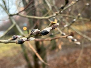 2 декабря 2025