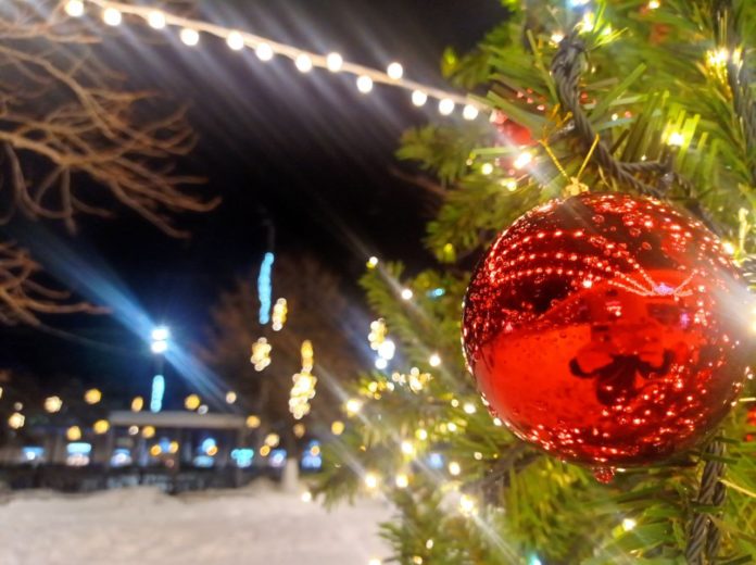 photo_2024-11-19_19-00-56