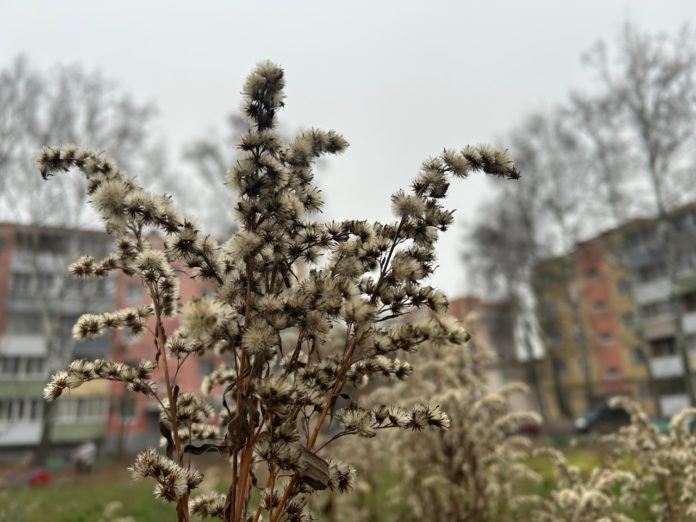 -_rXIowYOfijCVOLbpr6TXGkOz9XGq3R83hl3wJFC7jcBb-1Apy2ujEQop9qIkh0V3gBVoZS3Y0PGXKHWj6iLUih