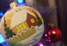 Рязанская область присоединилась к Всероссийской акции «Новый год в каждый дом»