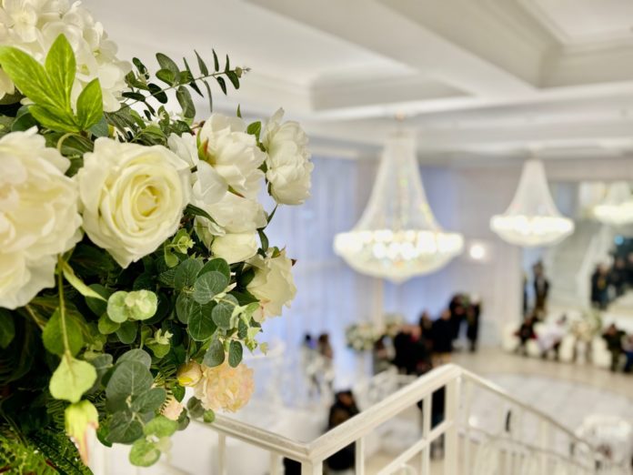 Загс_Тимохина