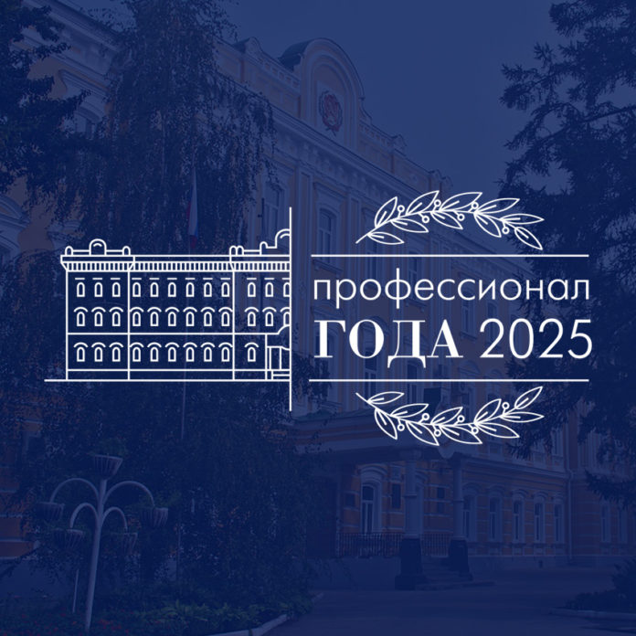 Профессионал года_баннер