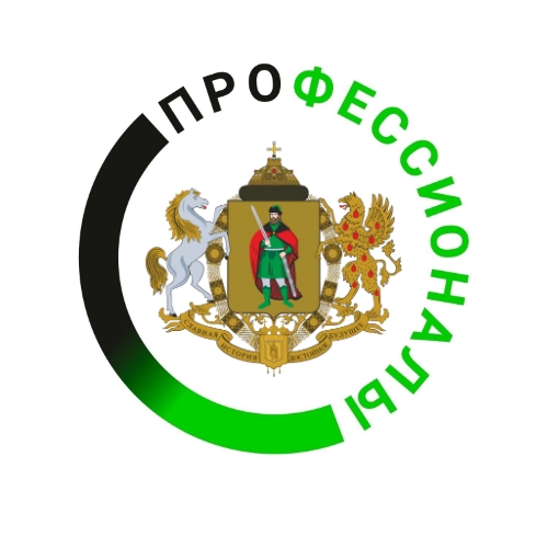 Профессионалы_чемпионат