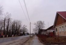 Главам муниципалитетов Рязанской области поручено контролировать состояние пешеходных зон в населенных пунктах