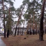 Губернатор Павел Малков обсудил с активистами из Солотчи, как развивать эту территорию