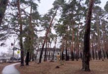 Губернатор Павел Малков обсудил с активистами из Солотчи, как развивать эту территорию