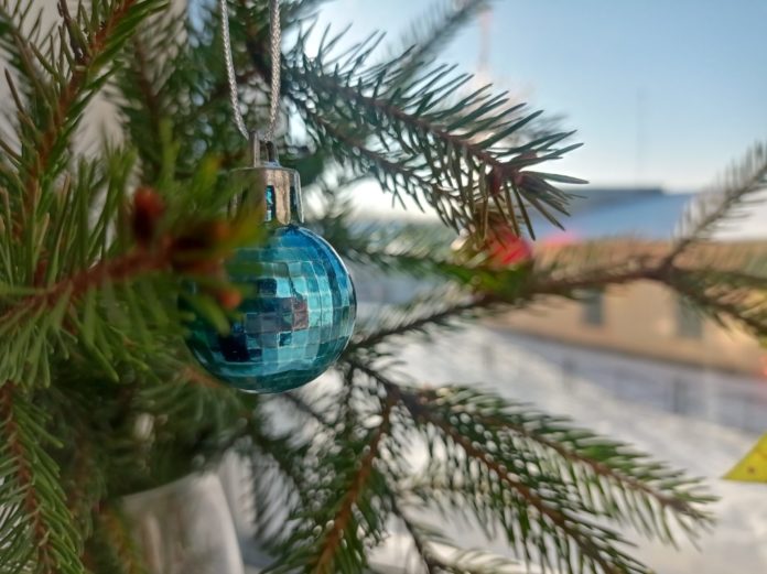 еловые ветки