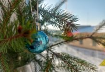 Елочные базары начали работу в Рязани