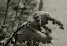 Завтра в Рязанской области ожидается мокрый снег