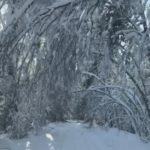 Без воды и тепла