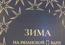 На Рязанской ВДНХ начался фестиваль «Морозные забавы»