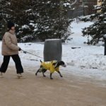 29 января 2026