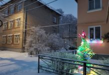 Фото дня. 12 января 2026 г.