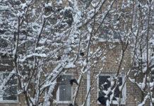 Завтра в Рязанской области пройдет снег