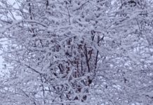 В Касимовском округе работы по расчистке дорог и тротуаров продолжаются в усиленном режиме