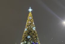 Метель и мокрый снег ожидаются завтра в Рязанской области