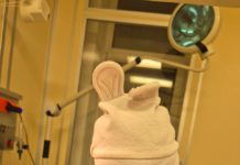 Первым новорождённым, который появился на свет в Рязанском перинатальном центре в этом году, стал мальчик