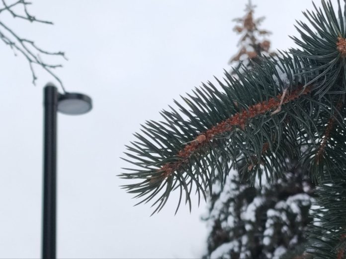 Зимний сквер