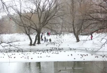 Толщина льда на водоемах Рязанской области варьируется от 4 до 18 сантиметров